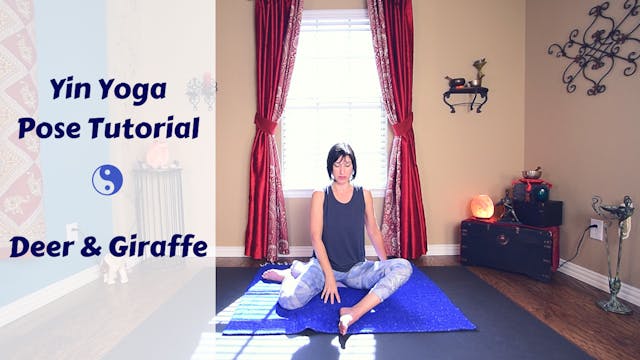 Deer & Giraffe Tutorial | Modificatio...