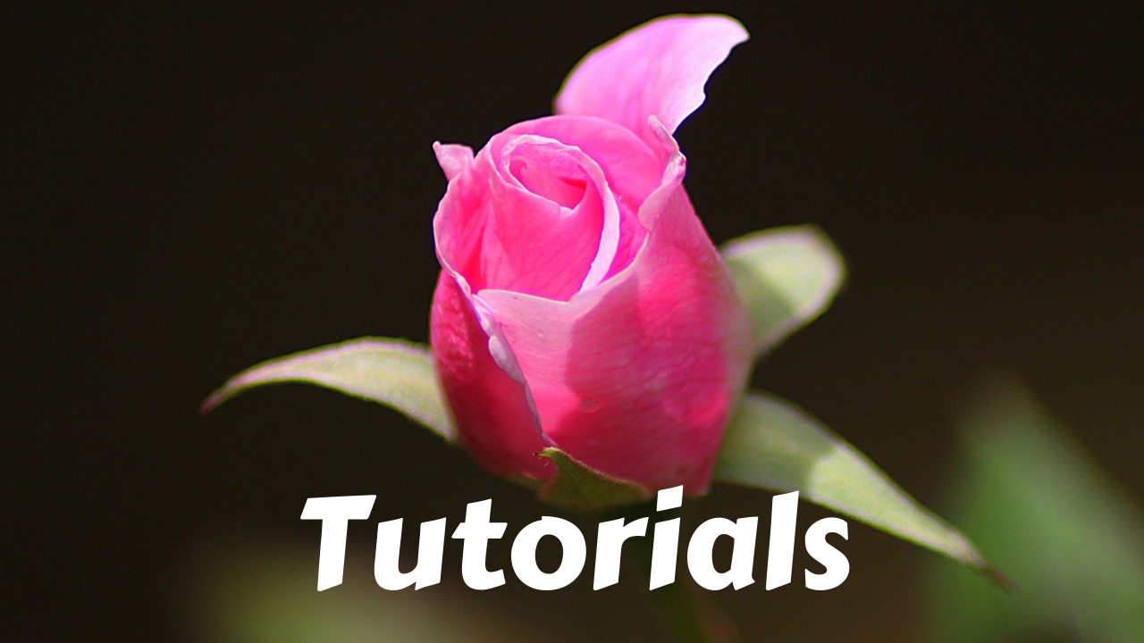 Tutorials