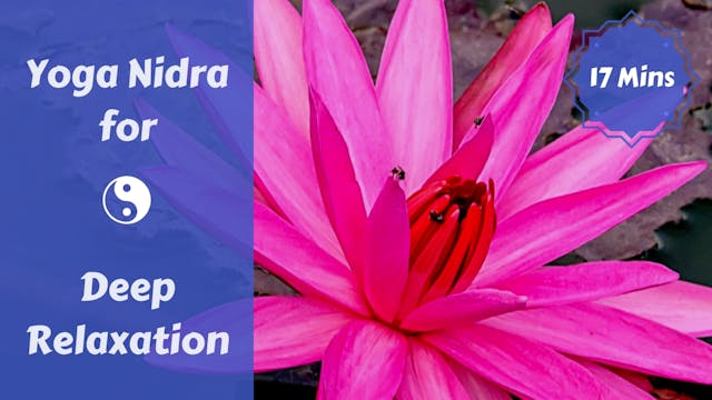 Yoga Nidra Body Scan for Deep Rest