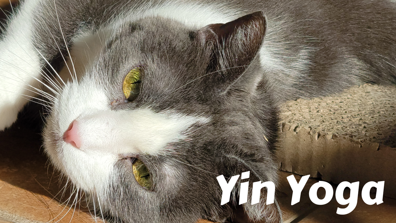 Yin Yoga
