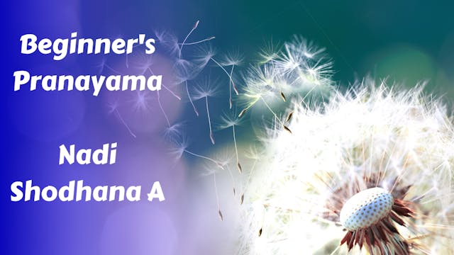 Nadi Shodhana A | Beginner Pranayama ...