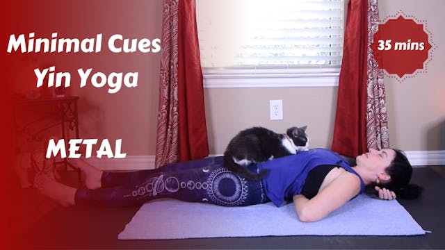 Minimal Cues Yin Yoga | METAL | Introspection