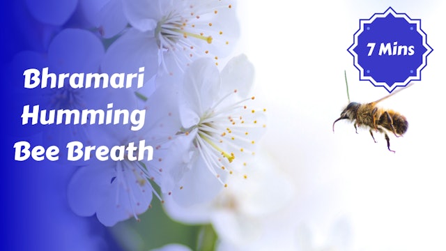 Bhramari Breath | Humming Bee Pranayama
