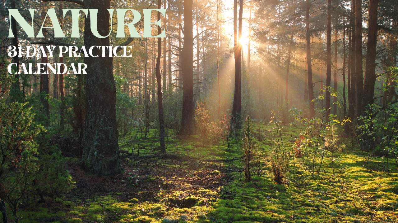 NATURE | July 2025 Practice Calendar