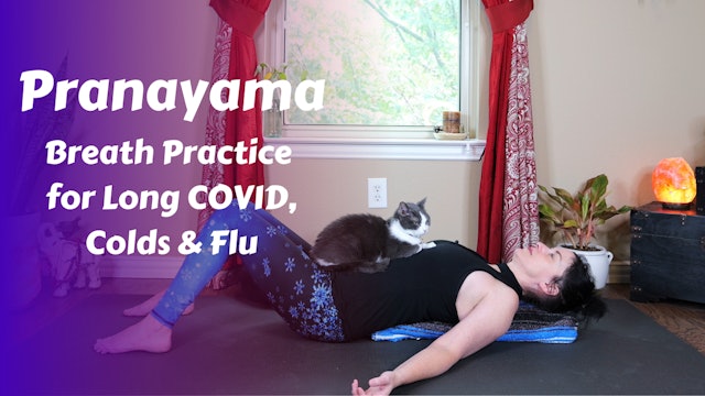 Pranayama for Long COVID Colds Flu | Deeper Breaths