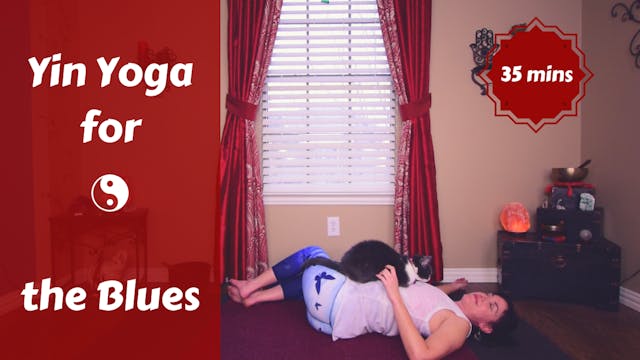 Yin Yoga for the Blues | Bring Sunshi...