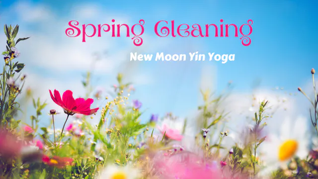 Spring Cleaning | New Moon Yin Yoga