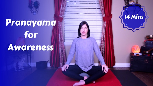 Pranayama for Awareness | Beginning Practice