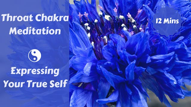 Throat Chakra Meditation | Expressing Your Truth