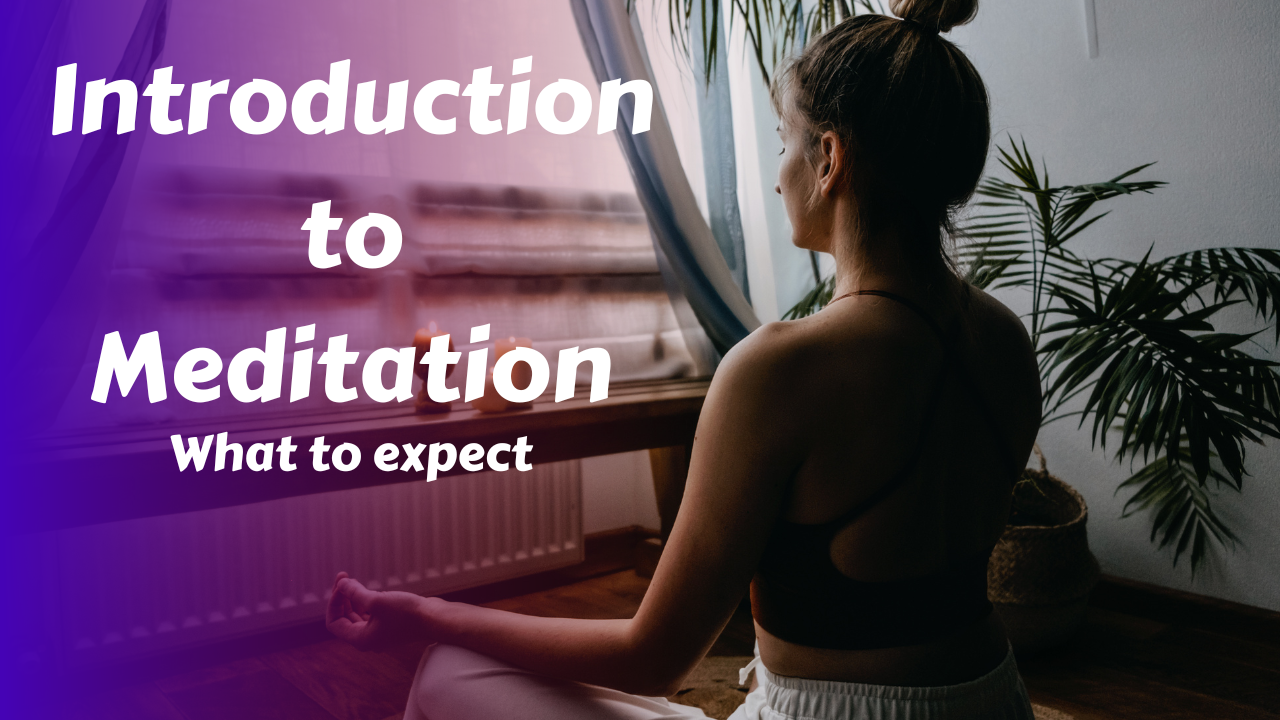 Introduction to Meditation Course | What to Expect