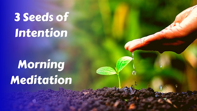 3 Seeds of Intention Morning Meditation