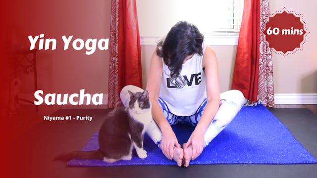 {Y}integration Yin Yoga | Saucha | Pu...