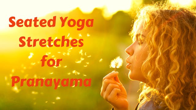 Seated Yoga Stretches for Pranayama