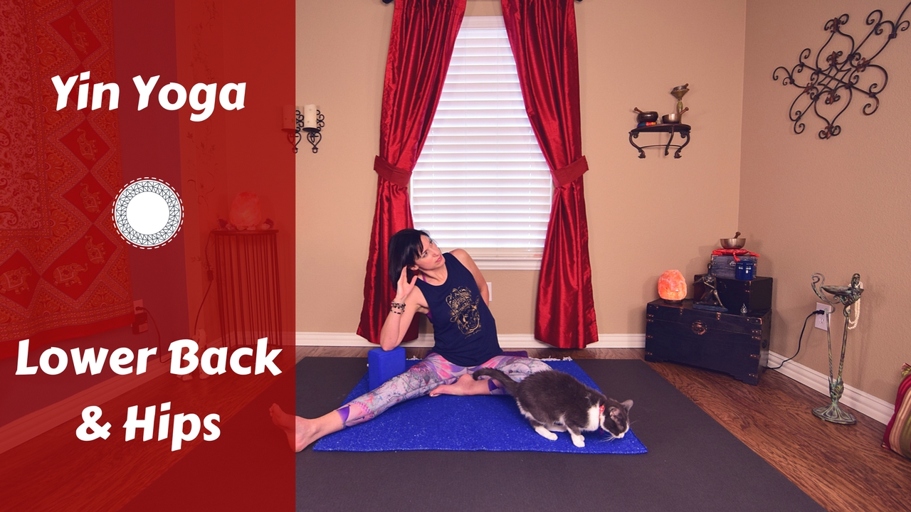 Yin Yoga for Lower Back & Hip Release