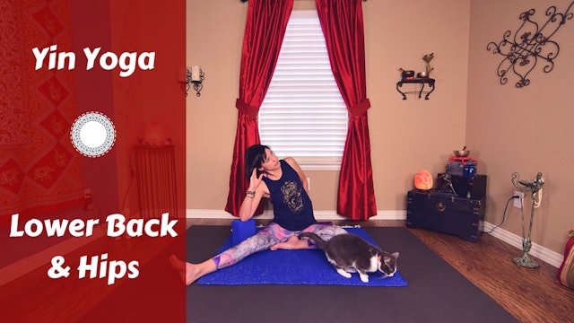 Yin Yoga for Lower Back & Hip Release