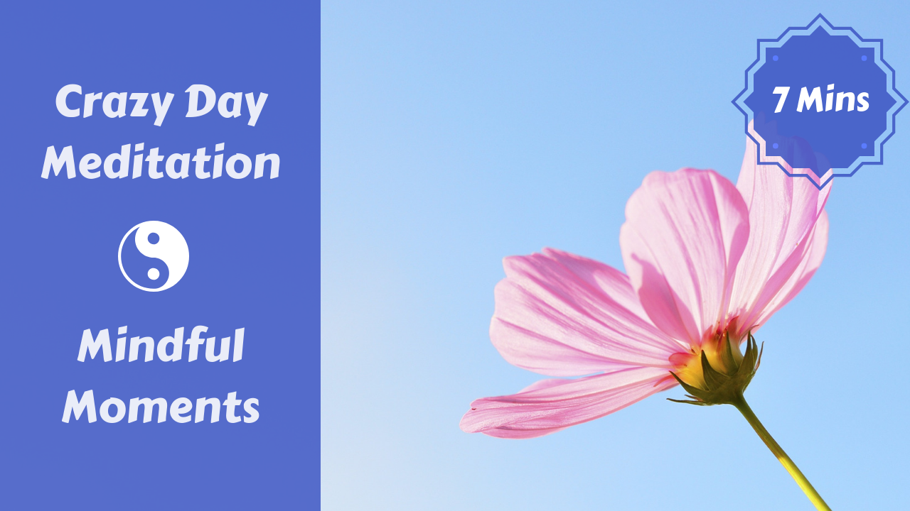 Meditation for a Crazy Day!
