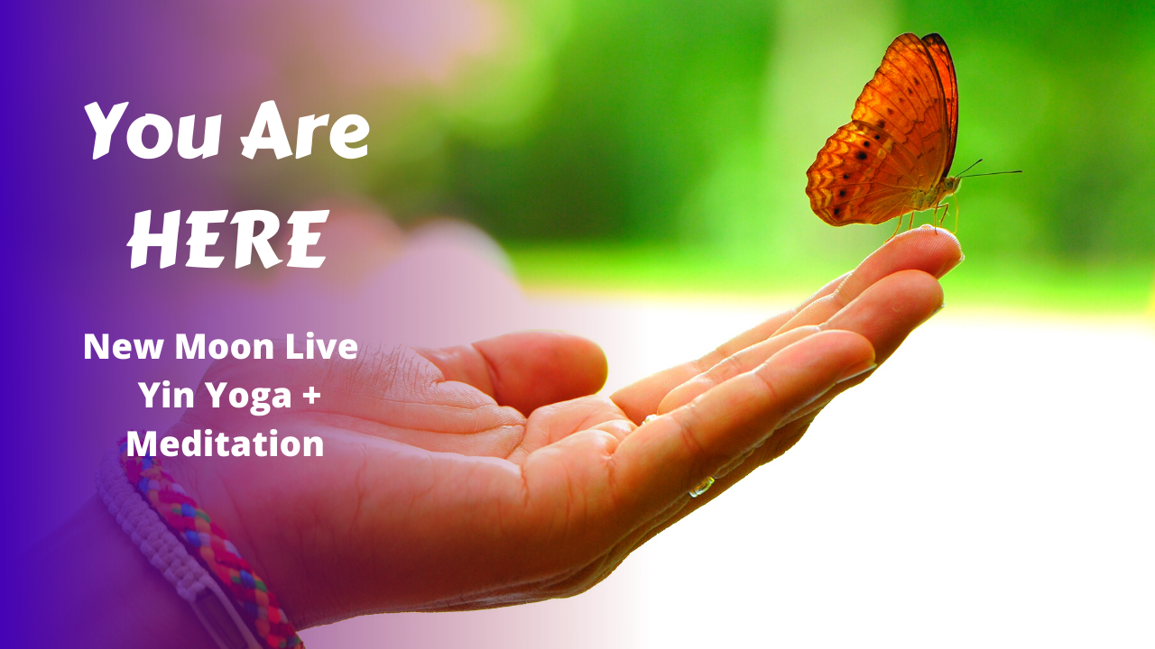New Moon Live Yin Yoga | You Are Here