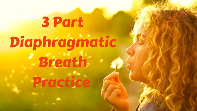 3 Part Diaphragmatic Guided Pranayama Practice