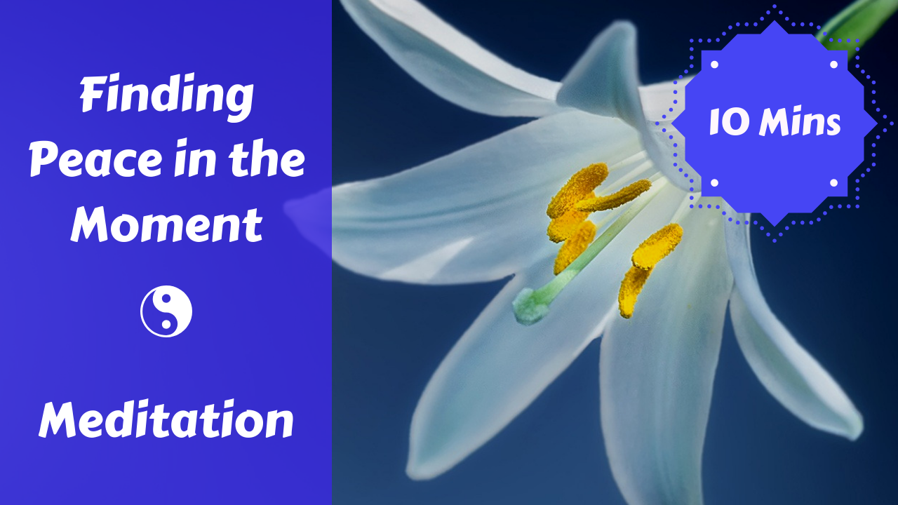 Finding Peace in the Moment Meditation