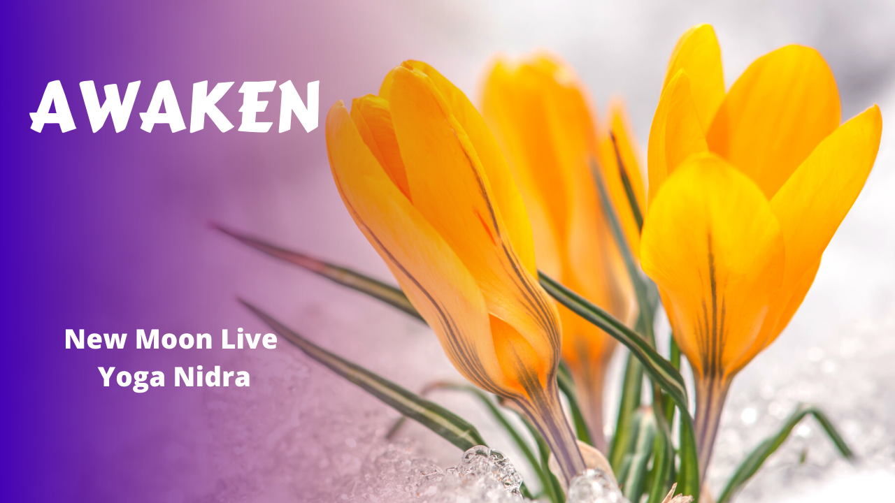 New Moon Live Yoga Nidra | Awaken