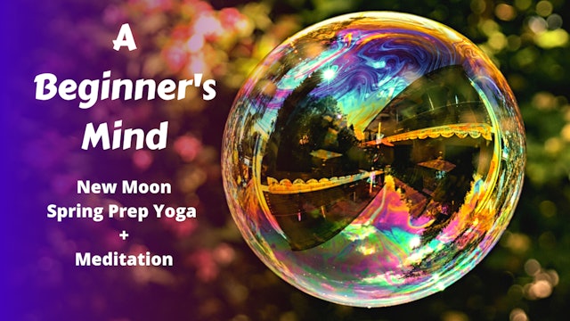 A Beginners Mind | New Moon Spring Prep Yoga