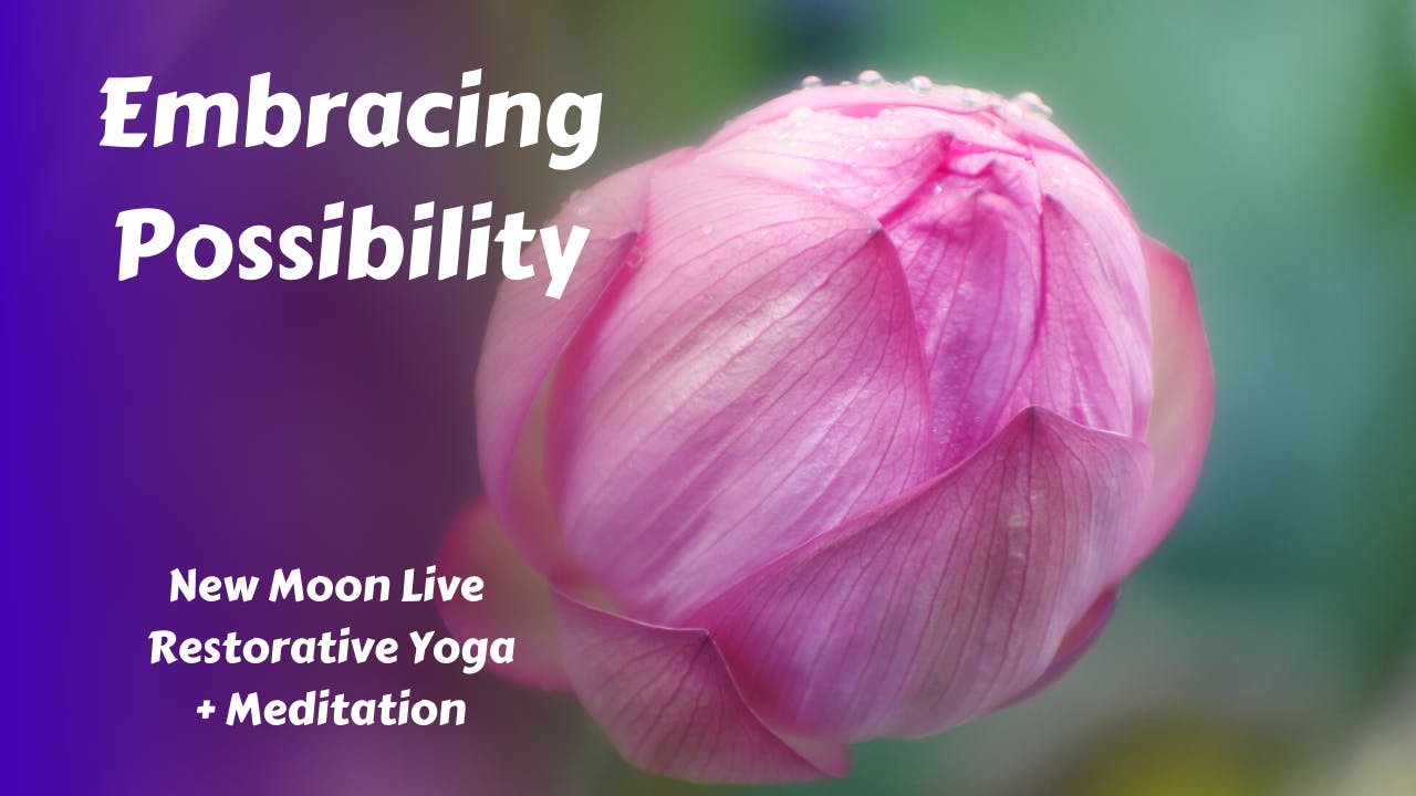 Embracing Possibility | New Moon Live Restorative Yoga - New Moon Yoga ...