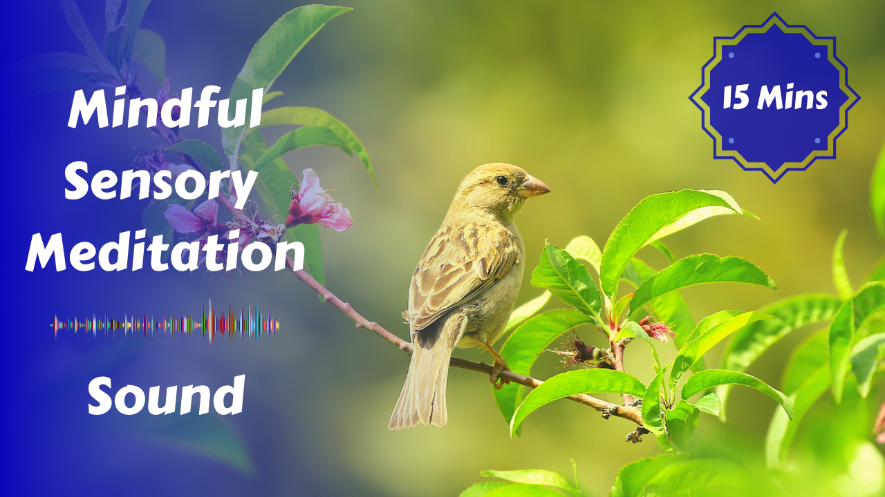 Mindful Sensory Meditation | Sound
