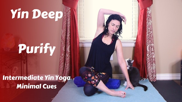 Yin Deep | Intermediate Minimal Cues Yin Yoga | PURIFY
