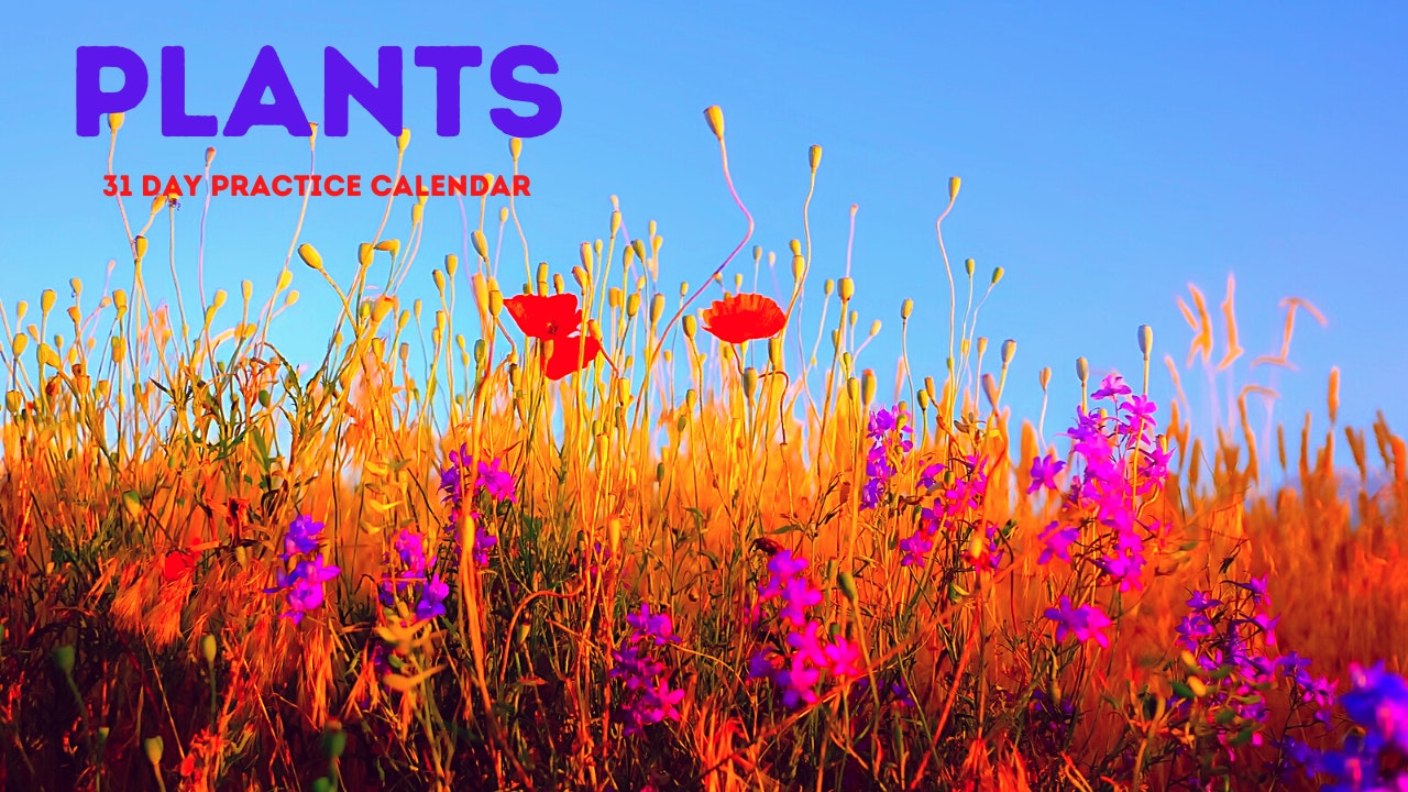 PLANTS | 31 Day Practice Calendar | Aug. '22