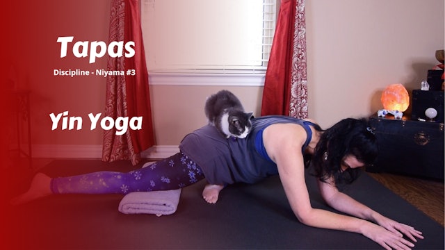 {Y}integration Yin Yoga | Tapas | Discipline