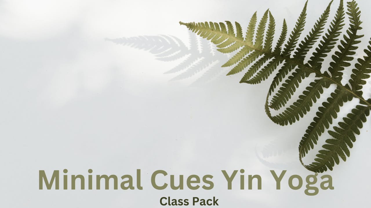 Minimal Cues Yin Yoga (Class Pack)