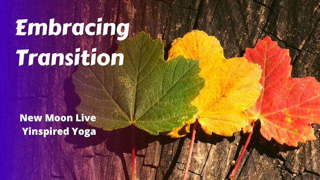 Embracing Transition | New Moon Yinspired Yoga
