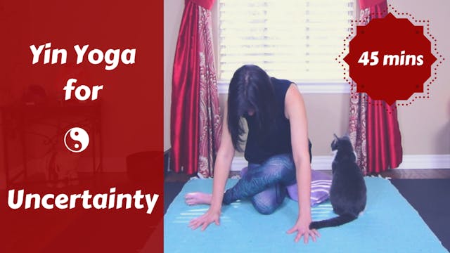 Yin Yoga for Uncertainty | Gallbladde...