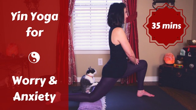 Yin Yoga for Anxiety & Worry | Spleen Meridian
