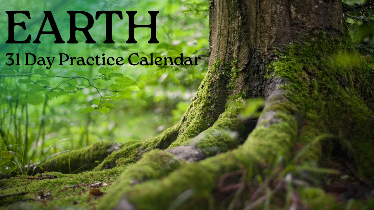 EARTH/TERRA Journal Reflection Prompts