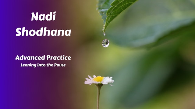 Nadi Shodhana Alternate Nostril Breathing | Advanced Practice