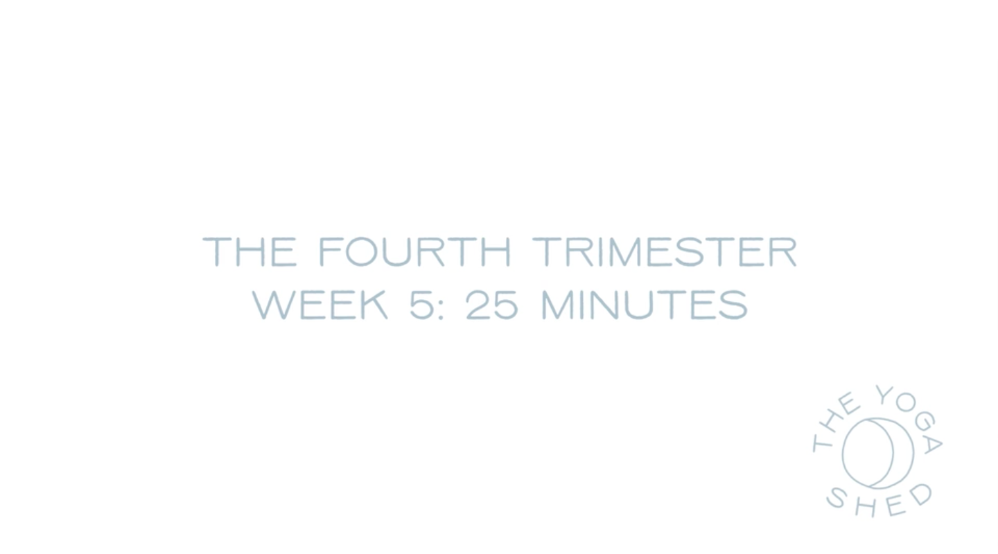 The Fourth Trimester: Week 5 25 Minutes
