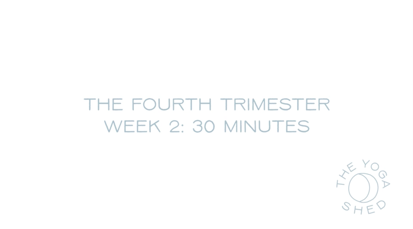 The Fourth Trimester: Week 2 30 Minutes