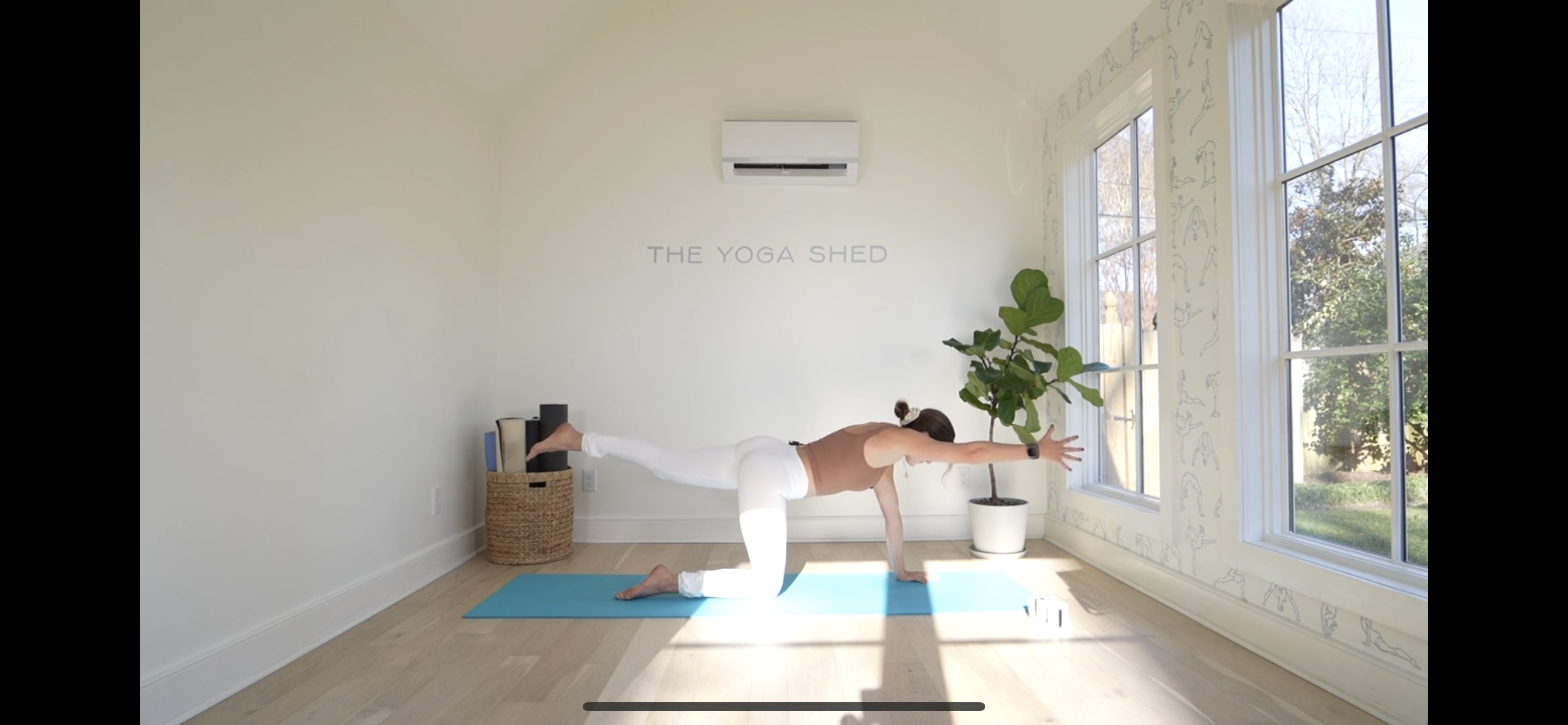 10 Minute PiYo: Abs + Arms