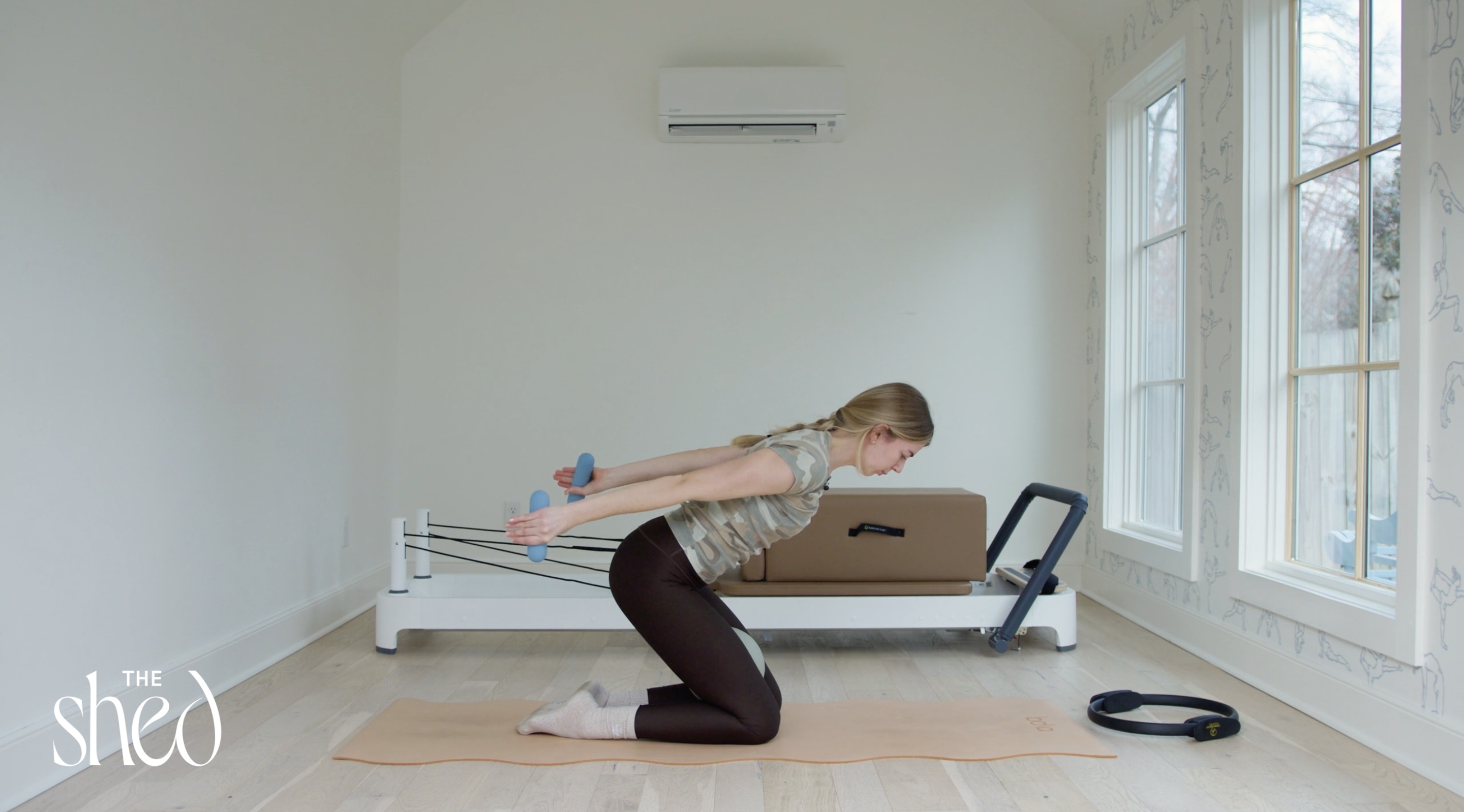 20 Minute Mat: Arms + Abs