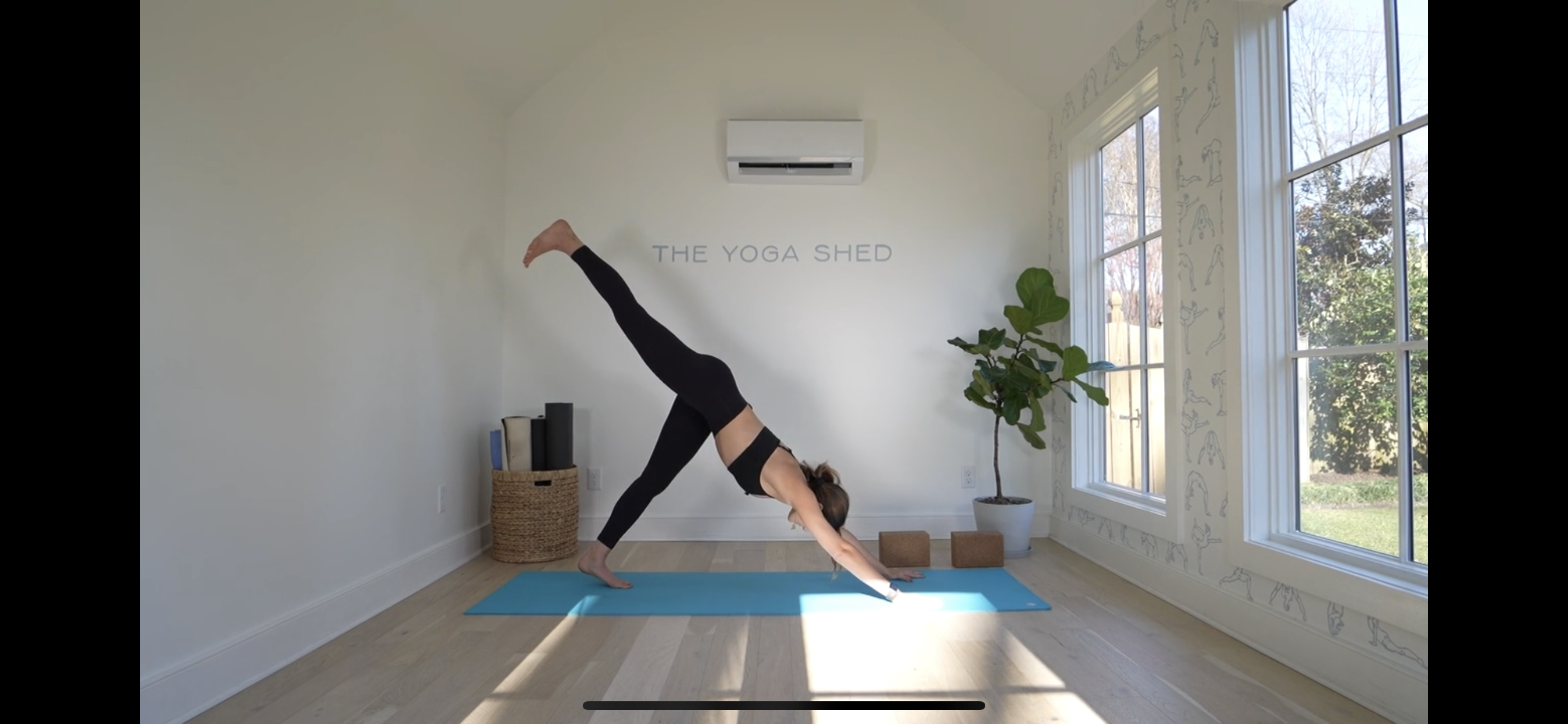 20 Minute Power Vinyasa Flow