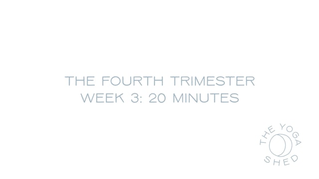The Fourth Trimester Week 3: 20 Minutes