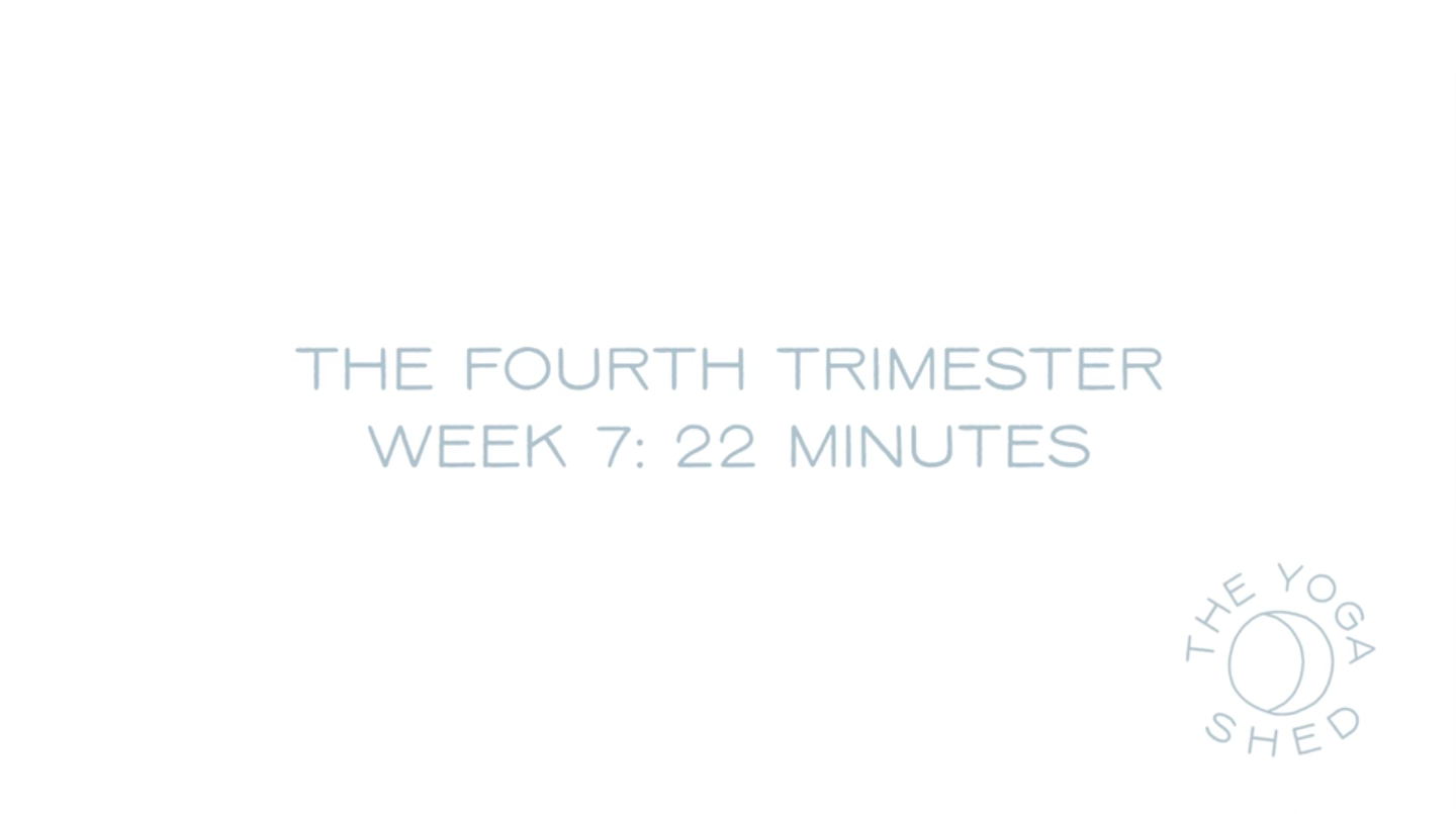 The Fourth Trimester: Week 7 22 Minutes