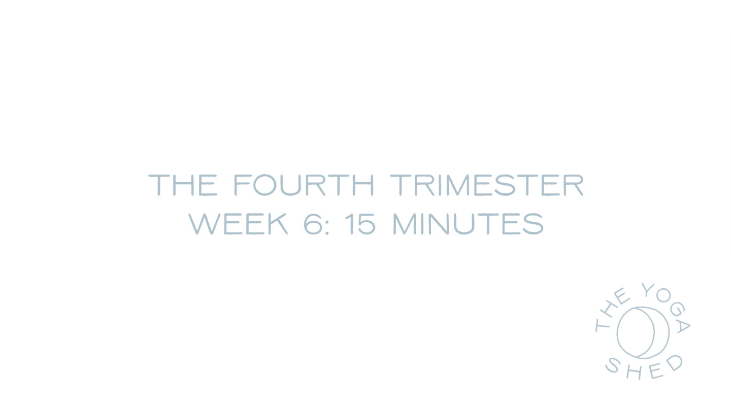 The Fourth Trimester: Week 6 15 Minutes