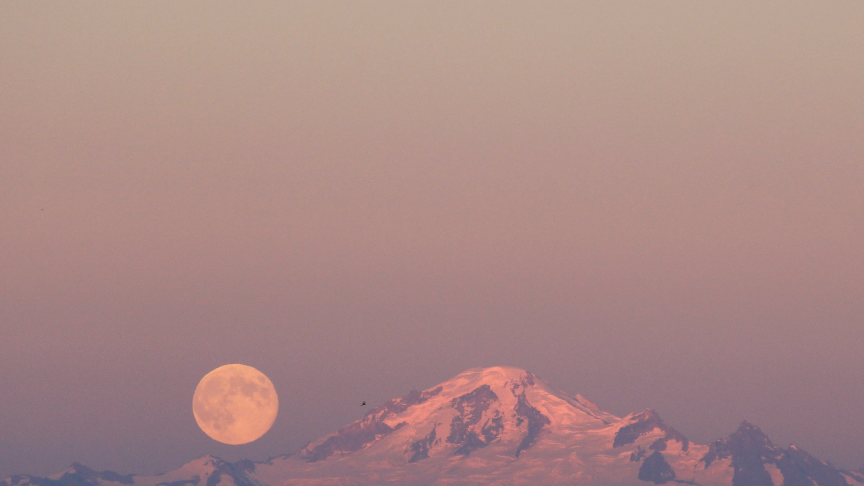 Full Moon Flow with Michele