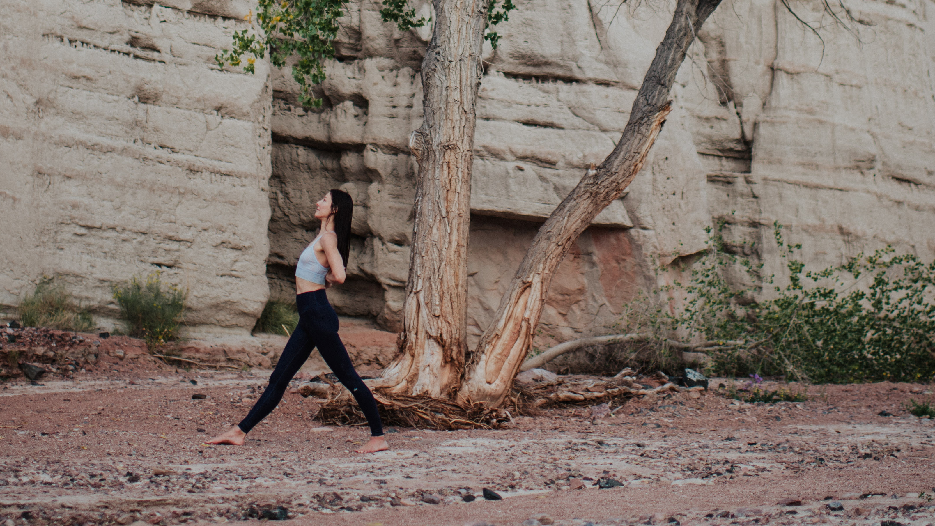 60 Minute Vinyasa Reset For Grounding and Reconnection