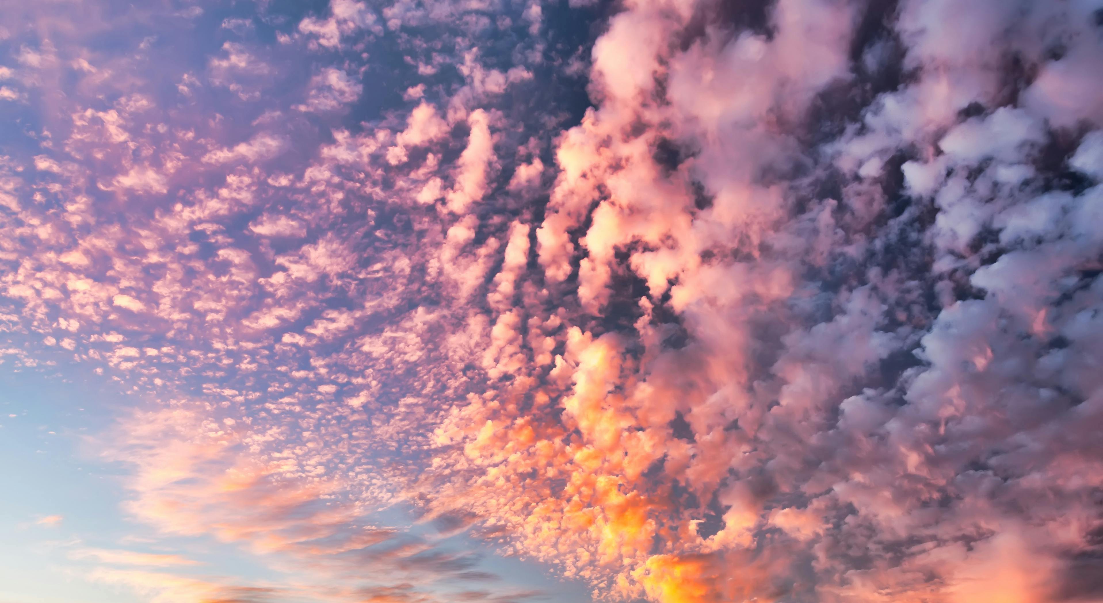 Caring Attention Meditation