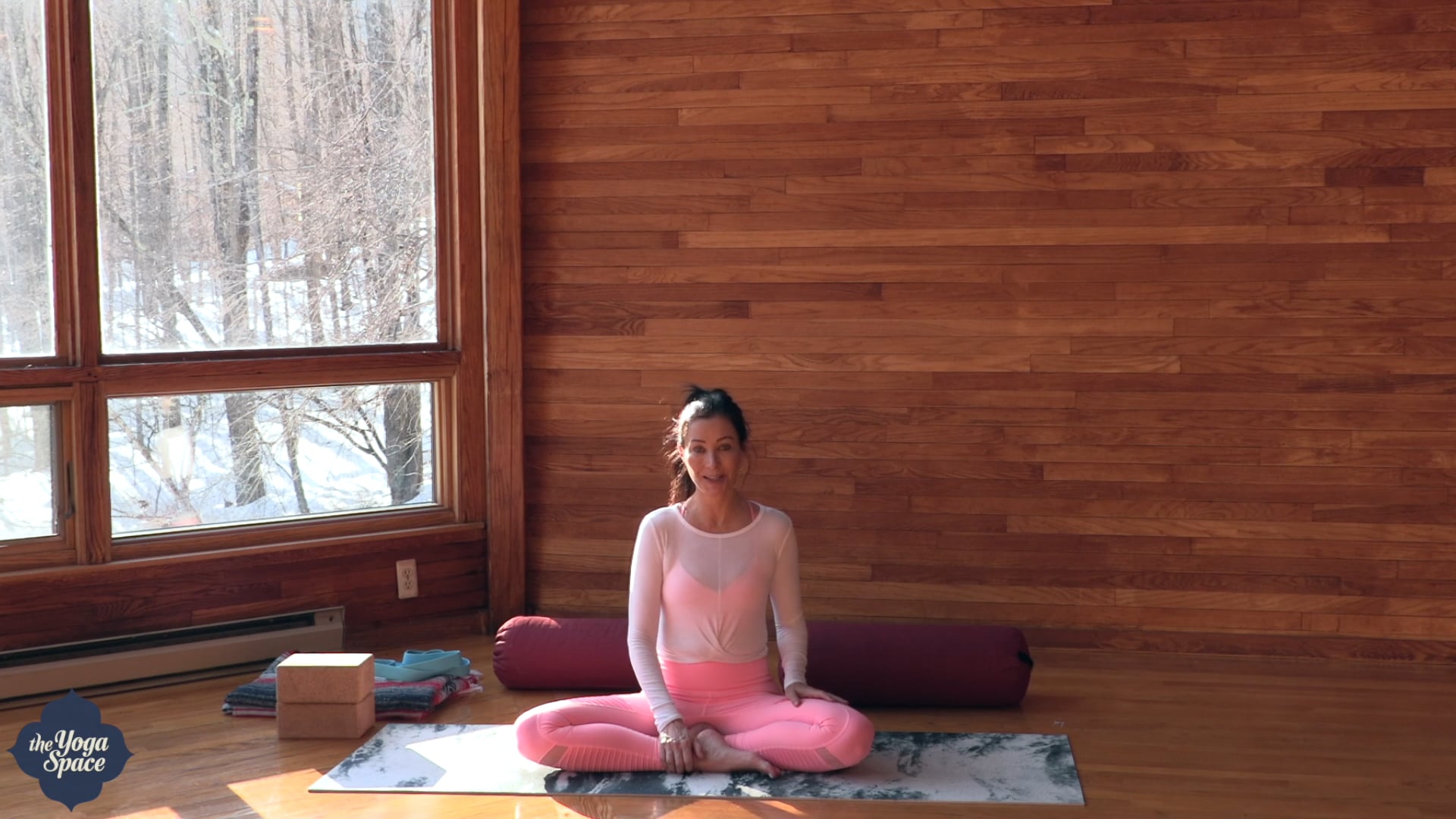 Restorative Yoga for Strengthening Immune & Reducing Stress with Michele