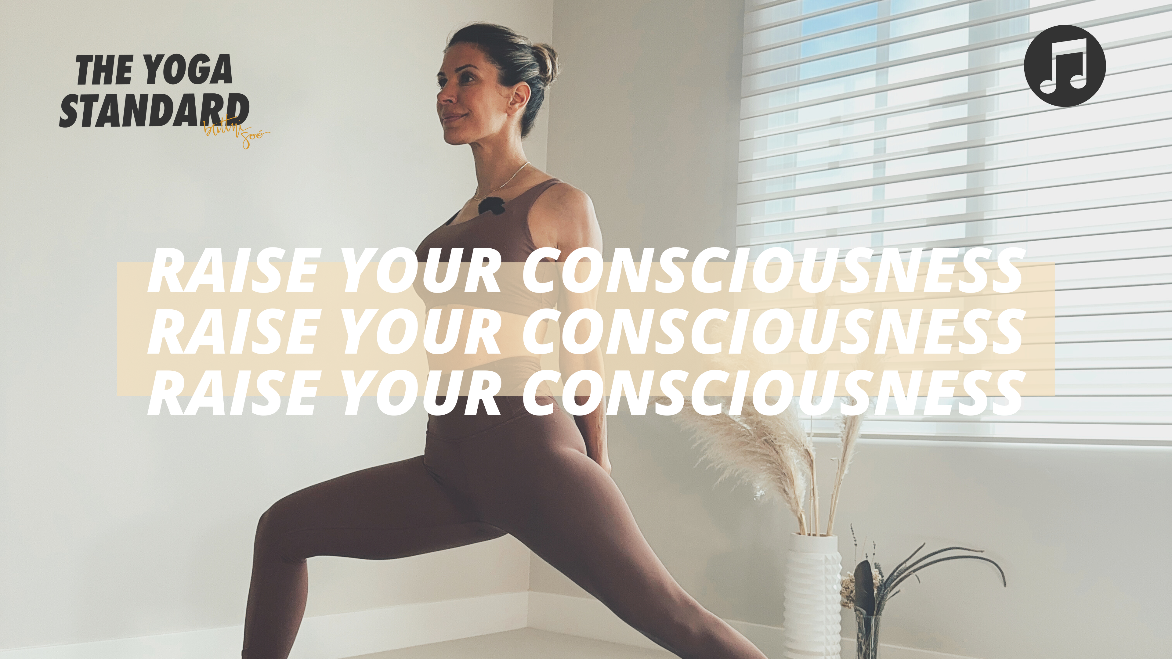 The Yoga Standard Video