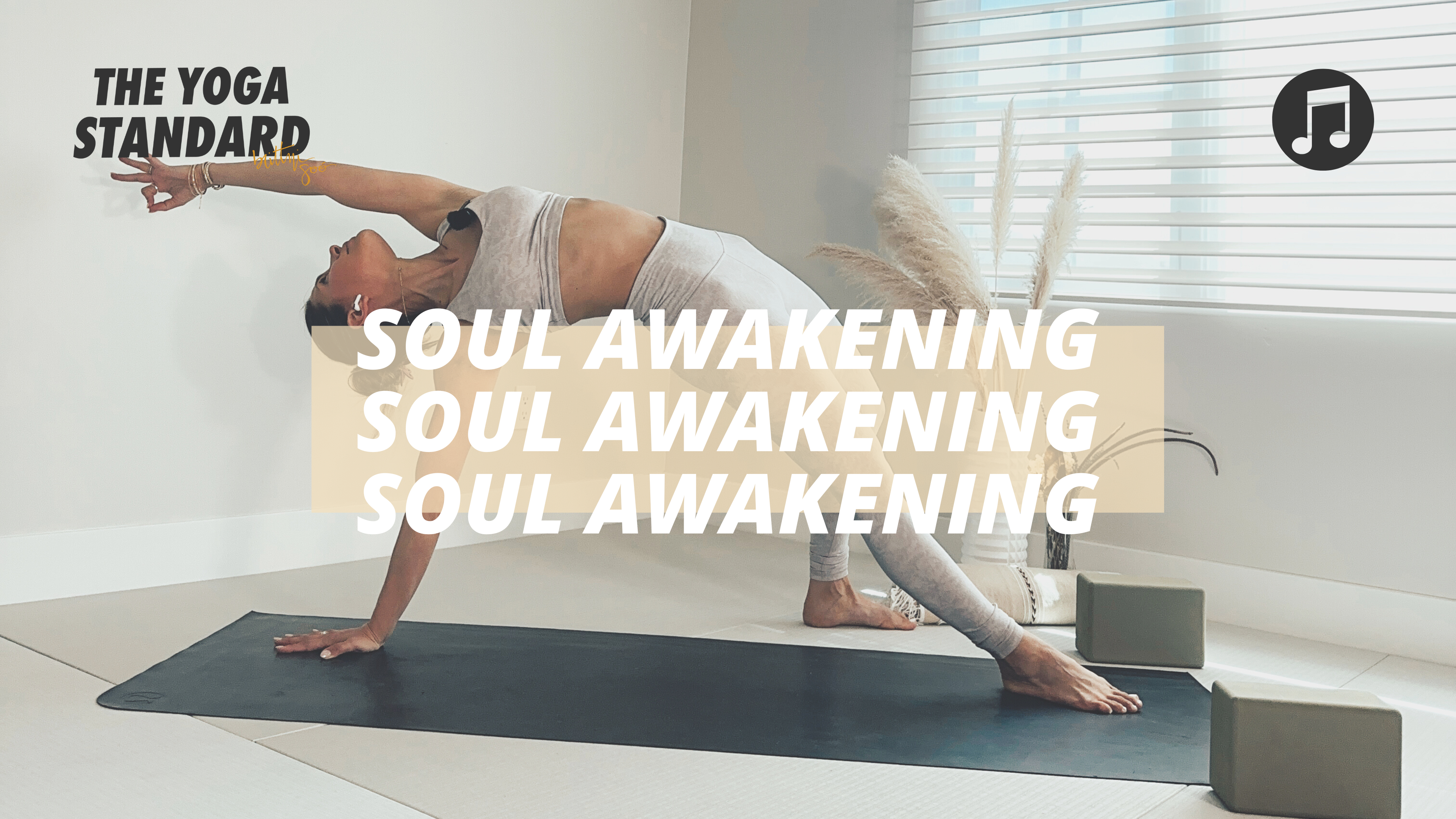 The Yoga Standard Video